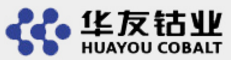 衢州华友钴新材料有限公司