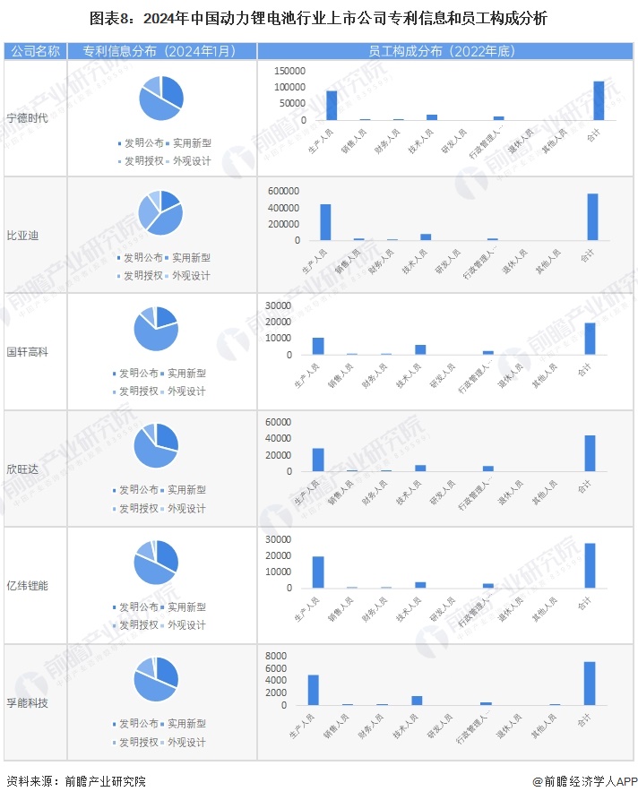 图表8：2024年中国动力锂电池行业上市公司专利信息和员工构成分析
